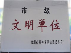 喜訊！公司榮獲“市級文明單位”稱號